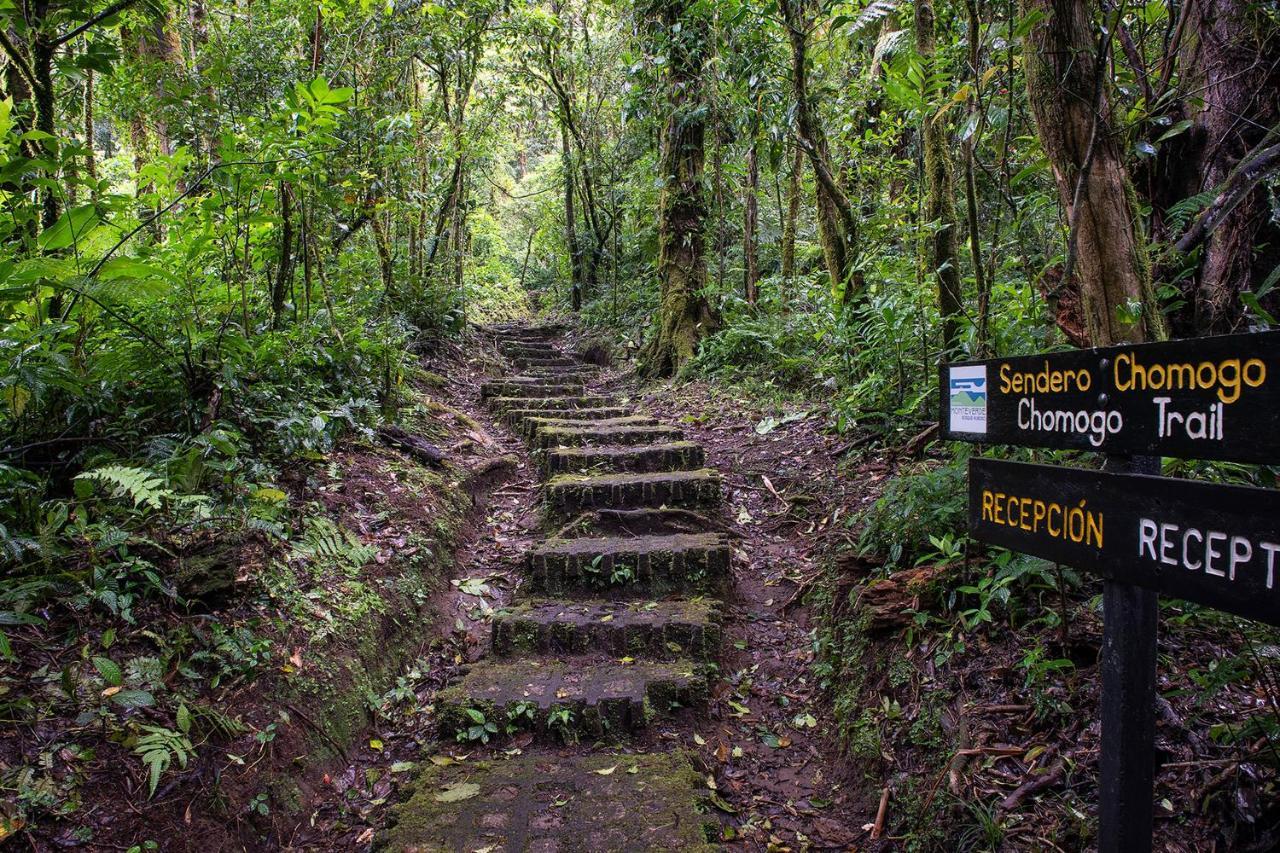 Monteverde Lodge & Gardens By Boeena Екстер'єр фото